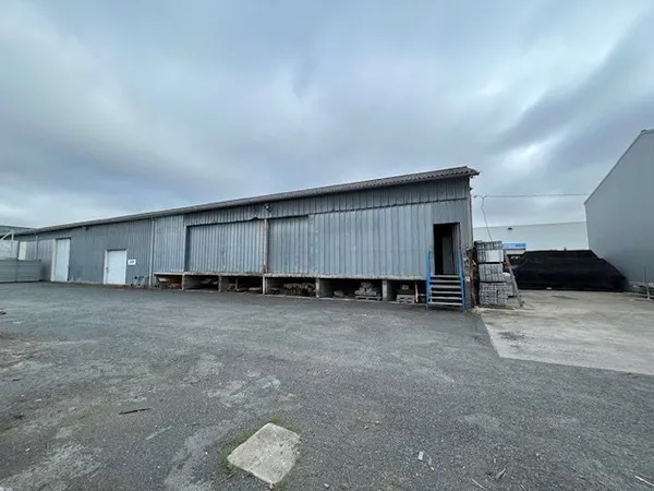 Local 310 m²