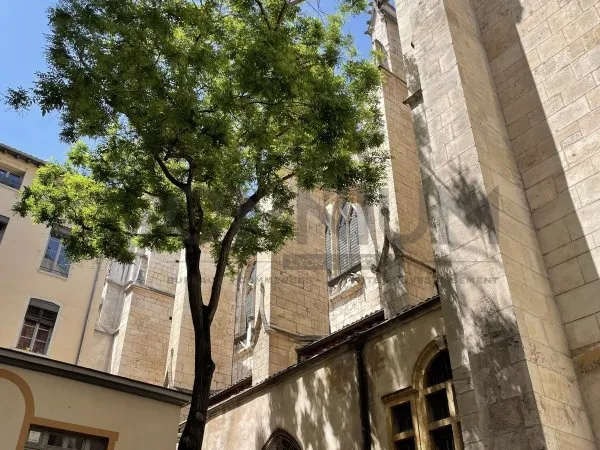 Local professionnel 661 m²