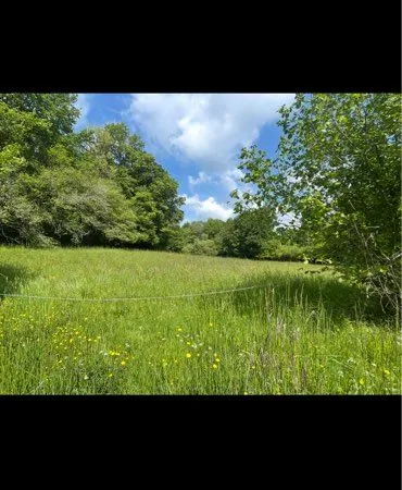 Terrain avec ruisseau