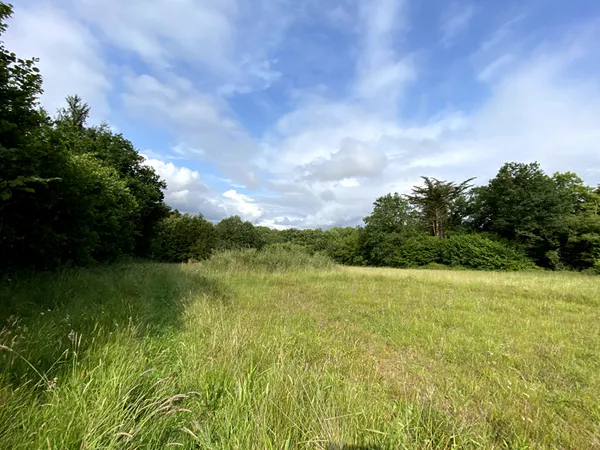 Terrain 3470 m²