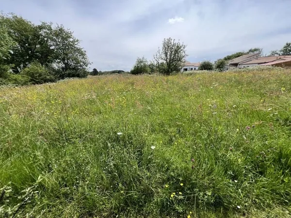 Terrain Vente Vertou  4000m² 750000€