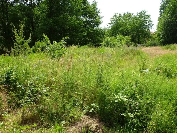 Terrain 500 m²