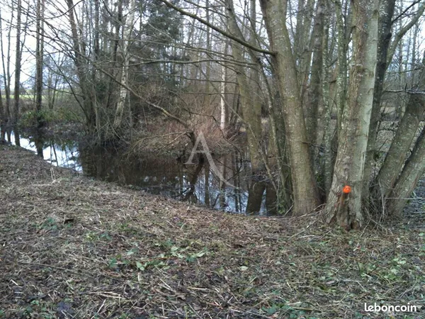 Terrain 4987 m² GOURNAY EN BRAY