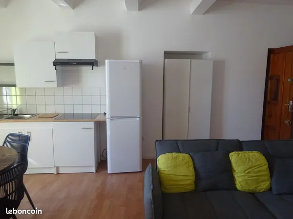 Appartement T2 rénové de 46 m² meublé