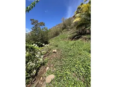 BEAU TERRAIN VIABILISE