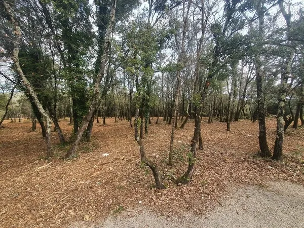 Terrain 1250 m²