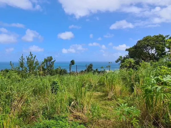 TERRAIN CONSTRUCTIBLE MANAPANY-LES-BAINS 607 M2 PROCHE COM