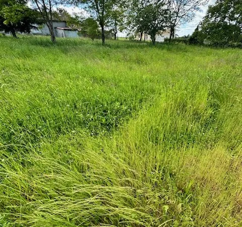 TERRAIN DE 1124 M2