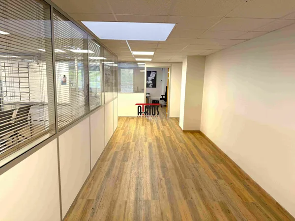 Local professionnel 246 m²