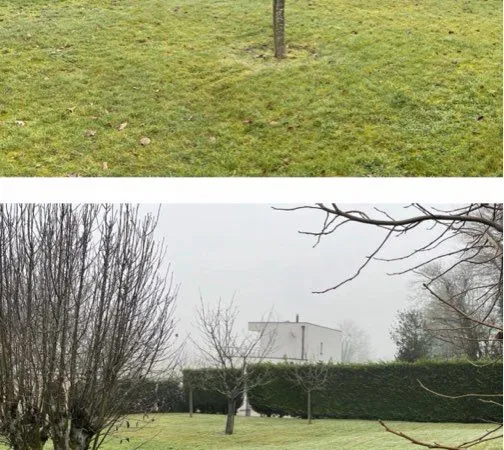 Terrain Montagnat saint just