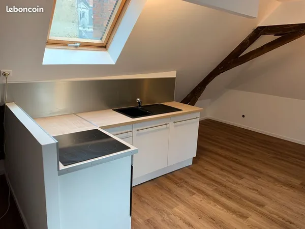 Appartement t3 rénové - hypercentre de châteaubriant (44110)