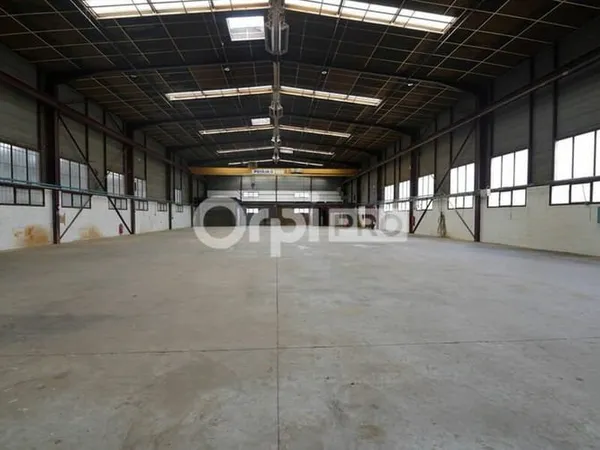 Local d'activité 1250 m²