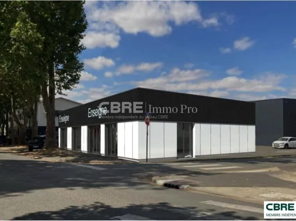Bureau 248 m²