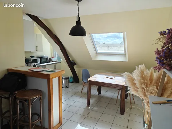 🏡 Charmant T3 lumineux - Centre Angers (Place Monprofit)