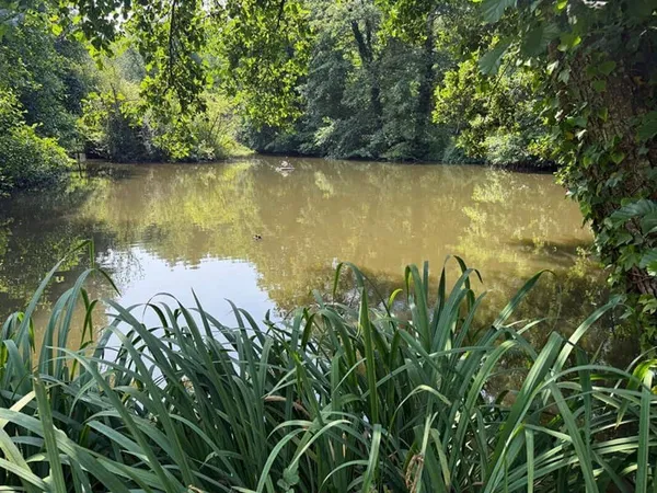Propriété de loisirs 12000 m²