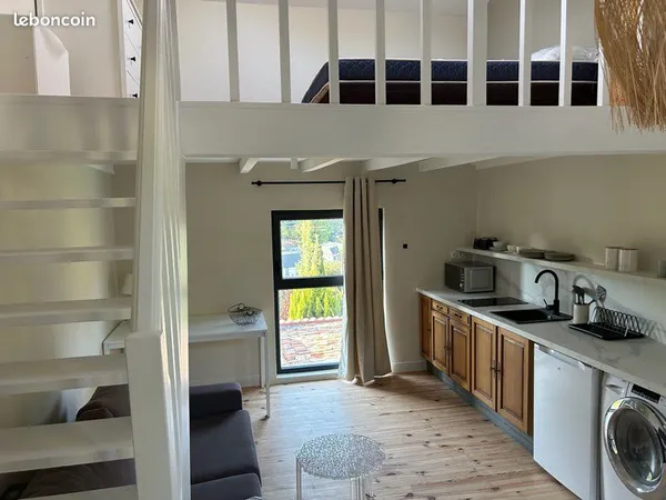 Studio meublé rénové avec mezzanine et terrasse privative - Écully