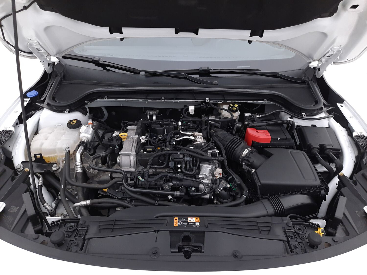 Ford Focus — photo 17