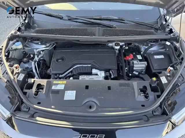 Peugeot 3008 hybrid 145 e-dcs6 — photo 12