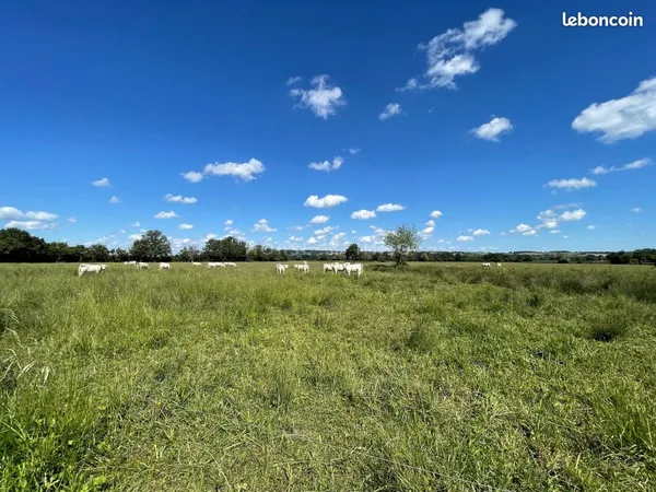 Terrain 113100 m² Bourges