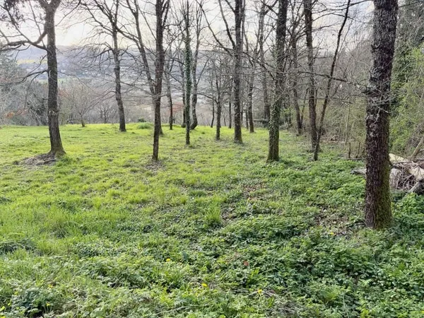 Terrain de loisirs 1825 m2