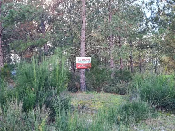 Terrain 1278 m²
