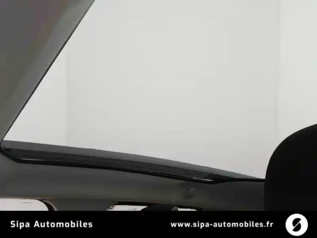Citroën C4 cactus puretech 110 s&amp;s — photo 22
