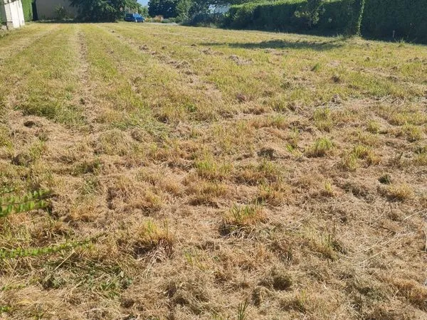 Terrain constructible