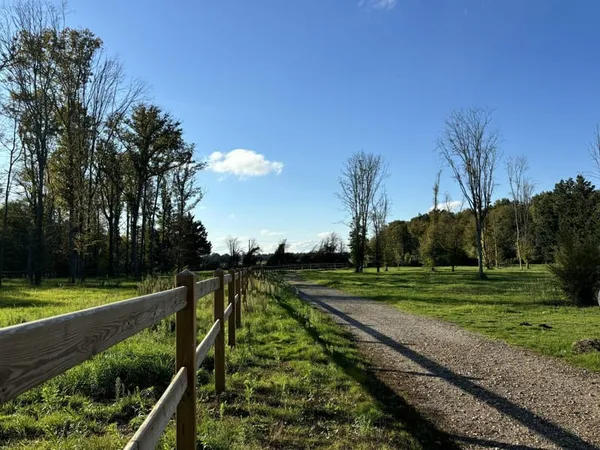 À VENDRE - Propriété équestre de 2,8 hectares à Vimory (4