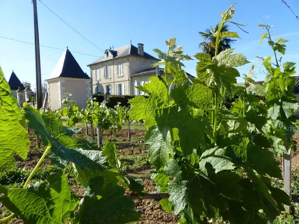PROPRIETE VITICOLE BORDEAUX RIVE DROITE