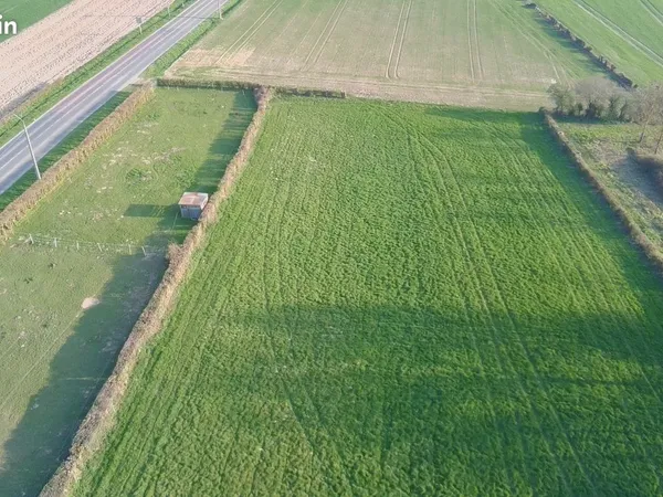 Location terrain