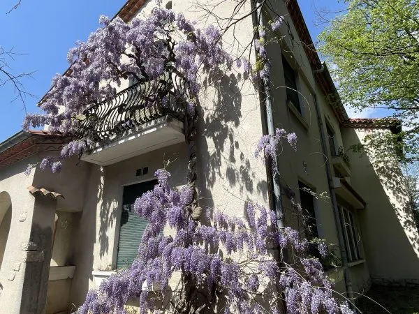 Vends maison 208m² Montpellier dans parc boisé de 3200m² sur terrain encore constructible