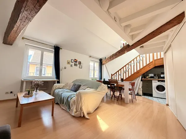 Appartement Grenoble duplex 3 pièces 60 m2