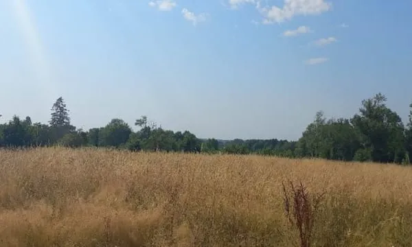 Terrain 1670 m²