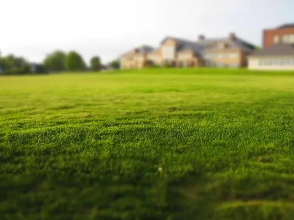 Terrain 958 m²
