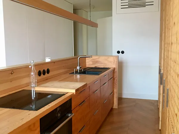 Location superbe duplex 2 chambres, 2 salle de bains 100m², ile verte Grenoble