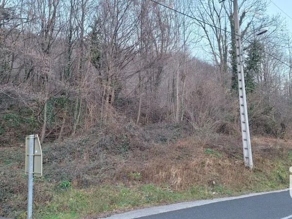 Terrain 50940 m²