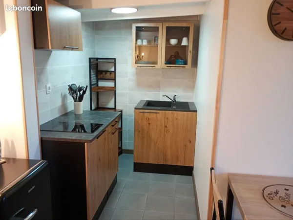 Chalet bois 20m2 meublé