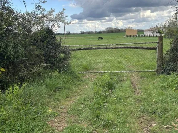 Terrain 5627 m²