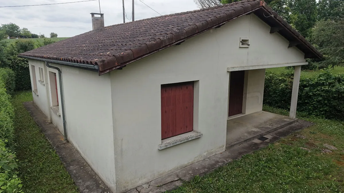 Photo 11