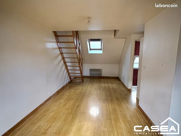 Duplex 1 pièce 21 m²