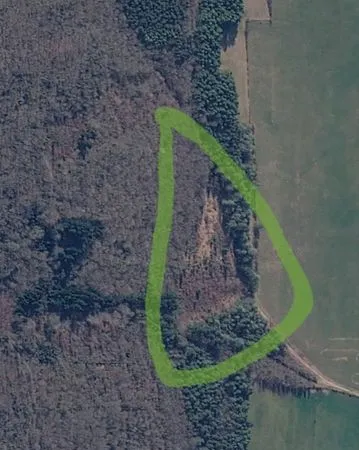 Terrain de loisirs