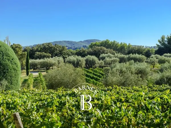 Vente - Le Castellet - Belle Propriété - Vignes - Oliviers - Piscine