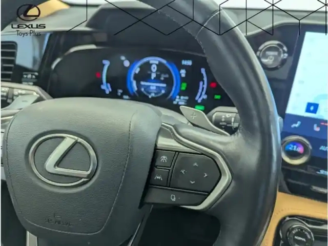 Lexus Nx 450h+ 4wd executive — photo 20