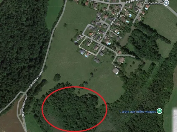 Terrain en individuel 24631 m²