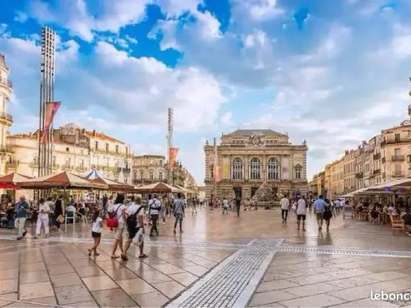 Immeuble de rapport - Emplacement n°1 premium - Écusson- Montpellier Centre historique