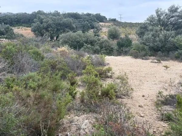 Terrain agricole 10160 m2
