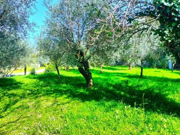 Terrain 1000 m²