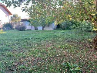 Terrain 1650 m²