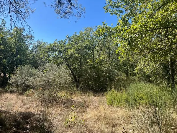 Terrain 5000 m²