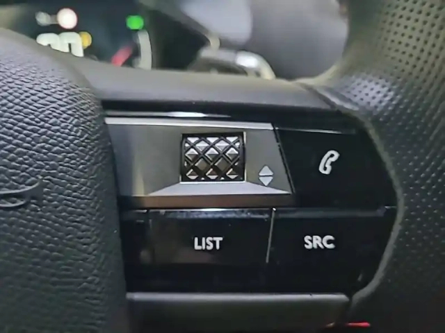 Ds Ds 3 ds3 crossback bluehdi 130 eat8 — photo 64